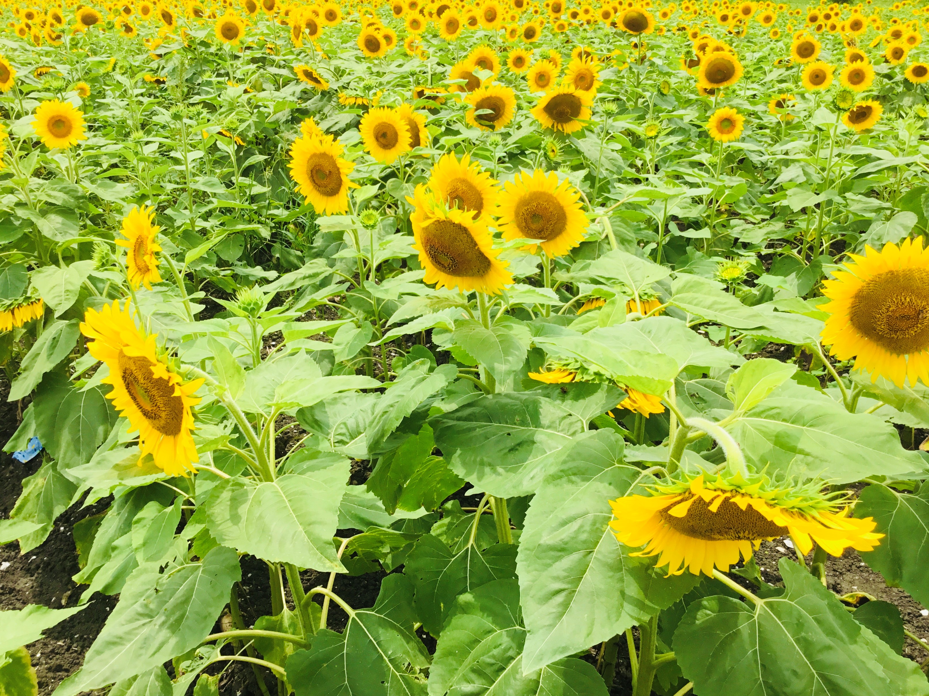 まずは自分を愛し癒すことから