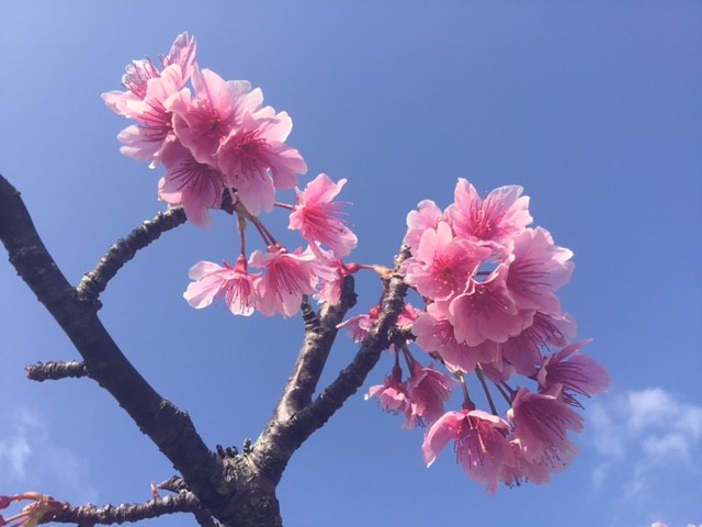 風の流れに抗わないで、乗っていくための大切なこと